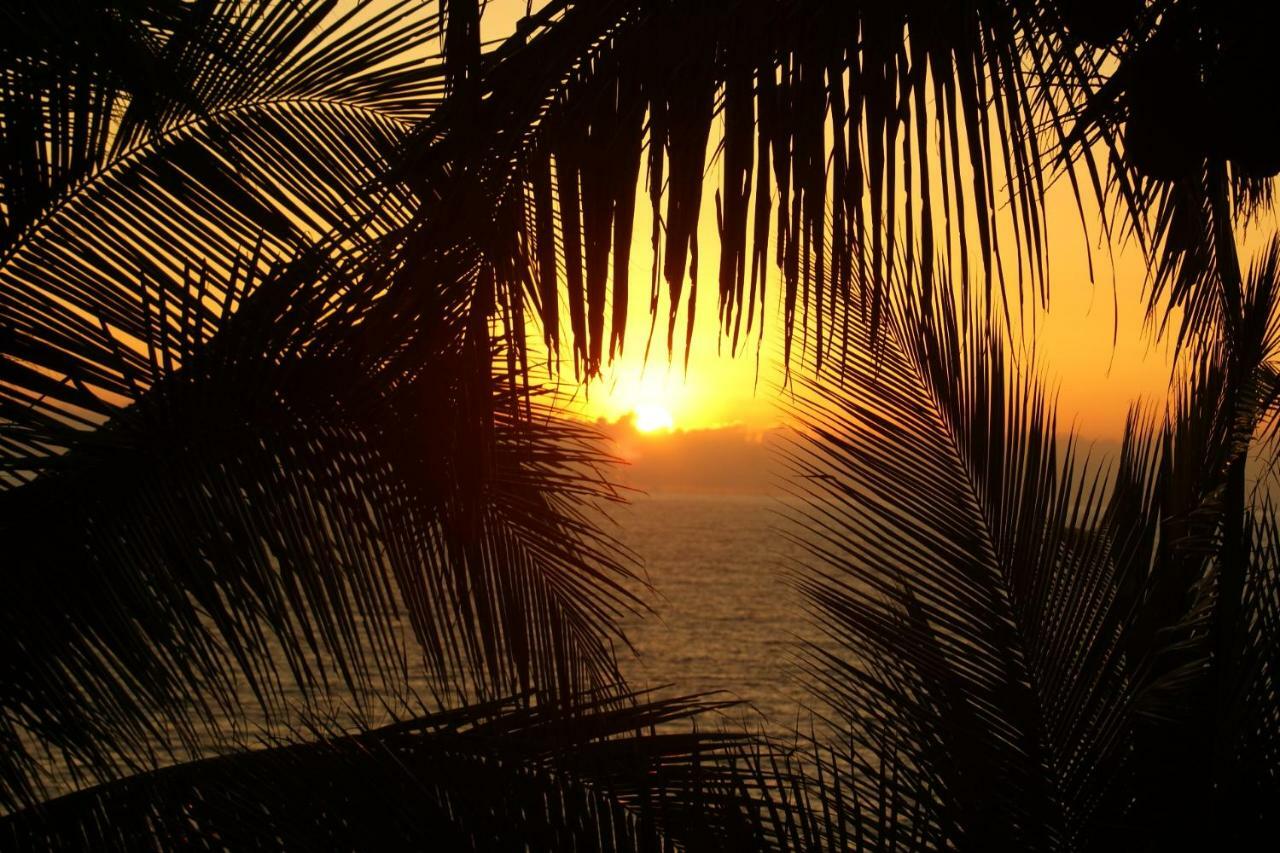 Nuquí Punta Bravaヴィラ エクステリア 写真